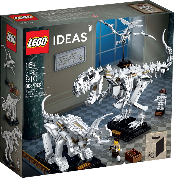 21320 Dinosaur Fossils